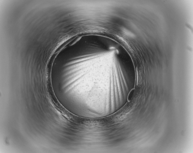 X0000095530435200712281525