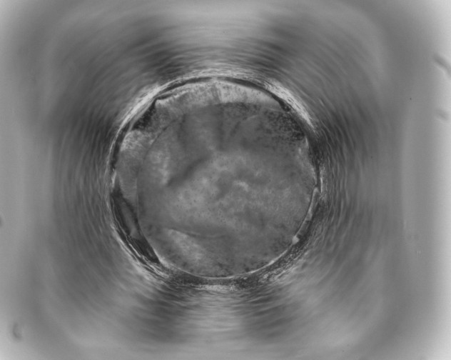 X0000095530436200712281525