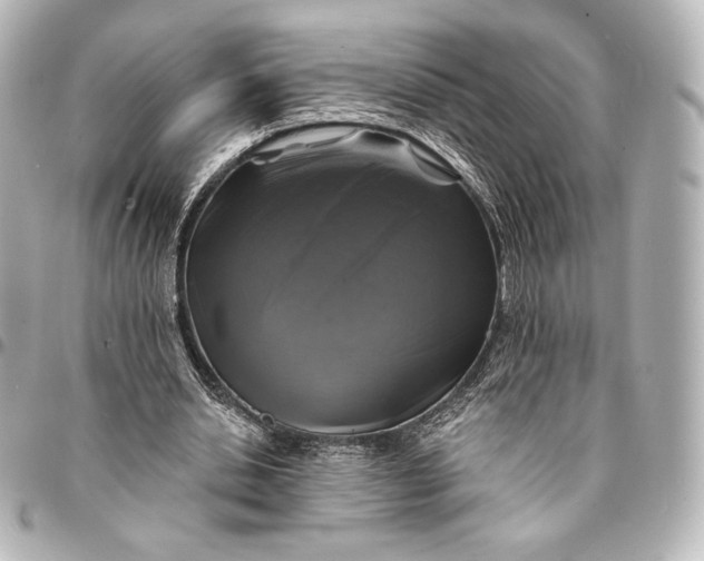 X0000095530438200712281525