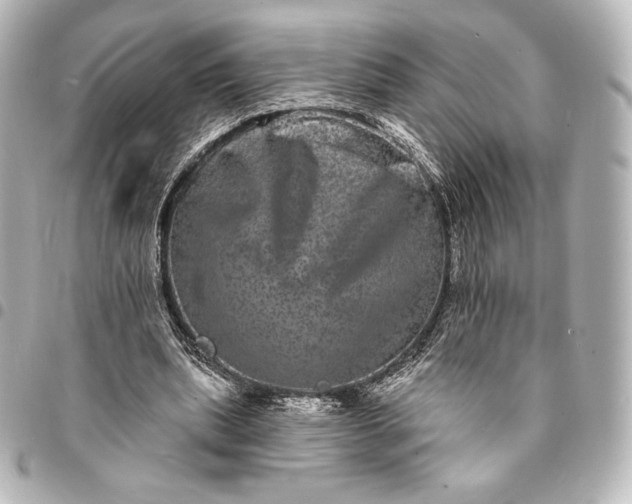 X0000095530439200712281525