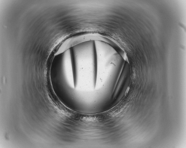 X0000095530440200712281525