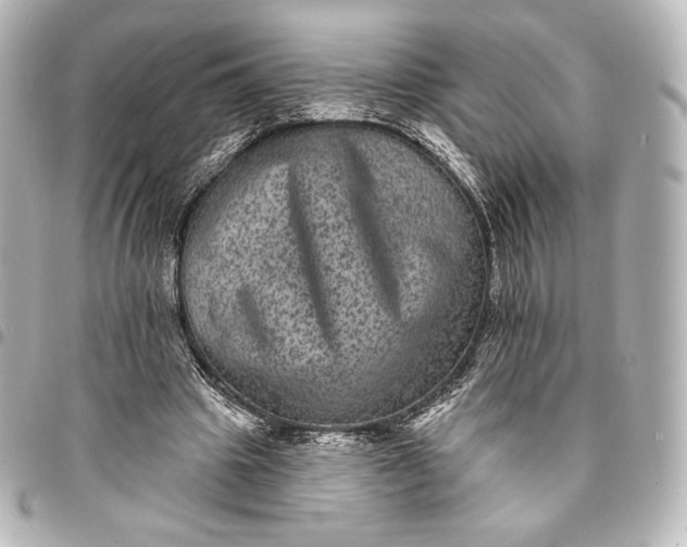 X0000095530441200712281525