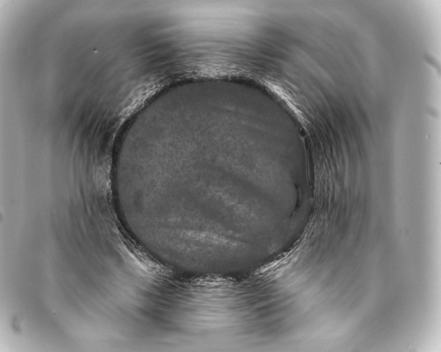 X0000095530443200712281525