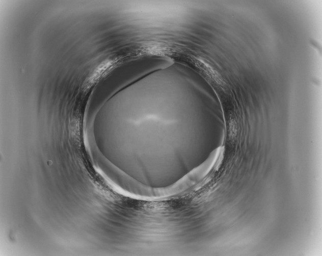 X0000095530444200712281525
