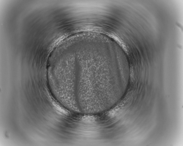 X0000095530445200712281525