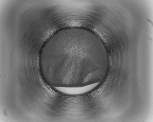 X0000095530447200712281525