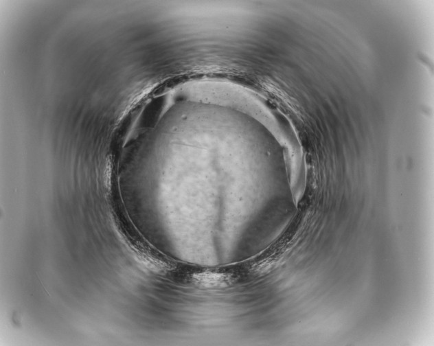 X0000095530448200712281525