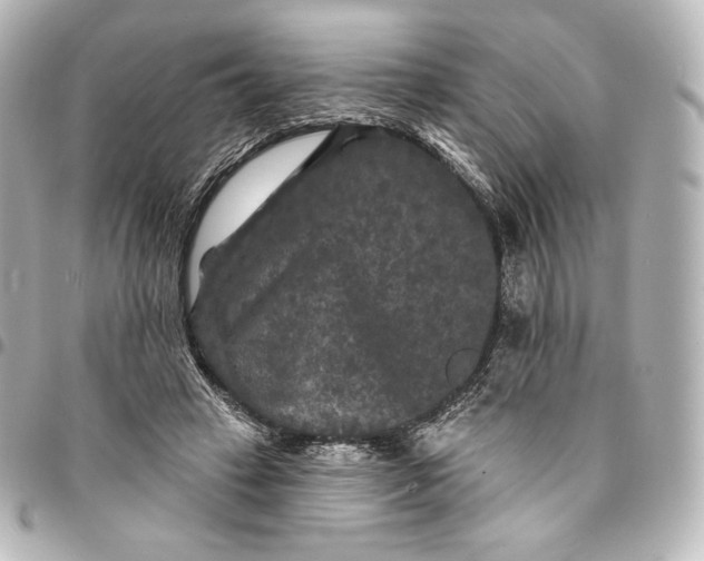 X0000095530449200712281525