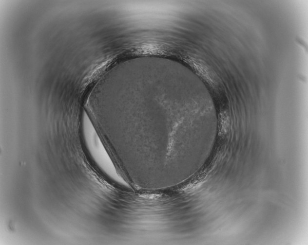 X0000095530450200712281525
