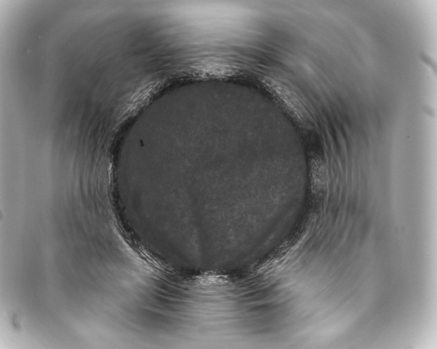 X0000095530451200712281525