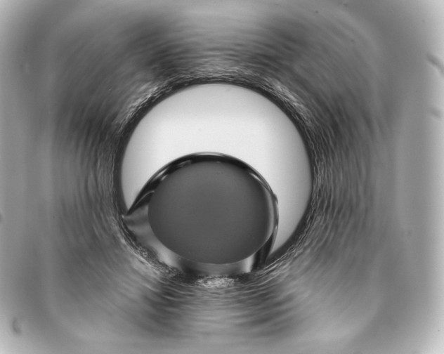 X0000095530452200712281525