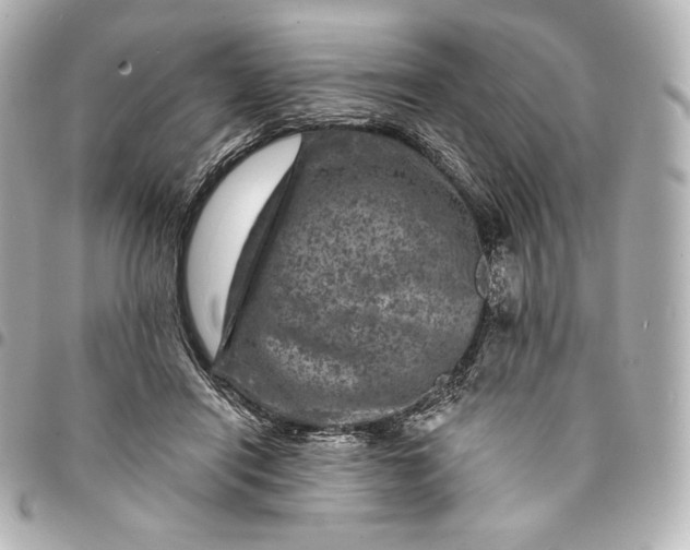 X0000095530454200712281525