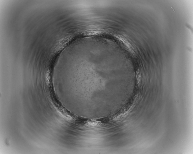 X0000095530455200712281525