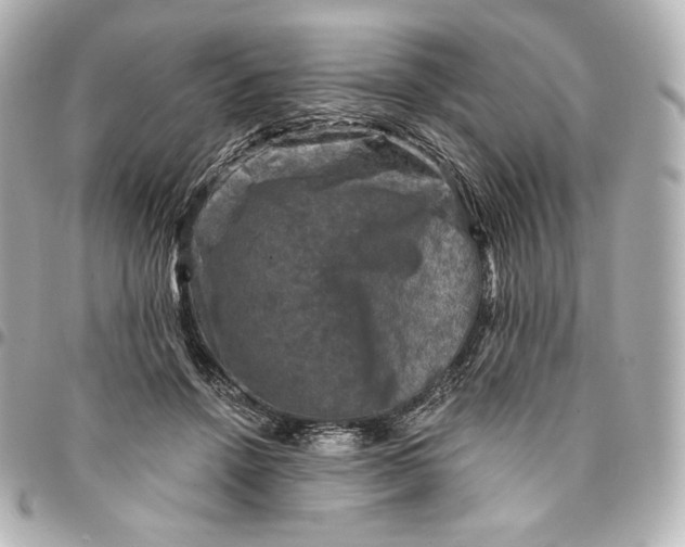X0000095530456200712281525