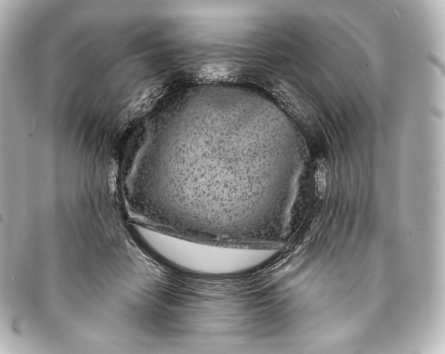 X0000095530458200712281525