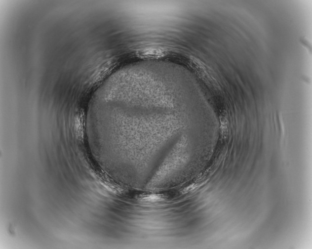 X0000095530460200712281525