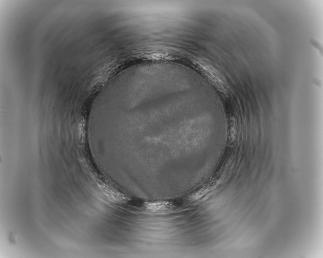 X0000095530461200712281525