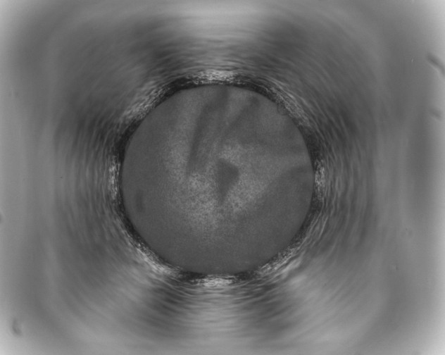 X0000095530462200712281525