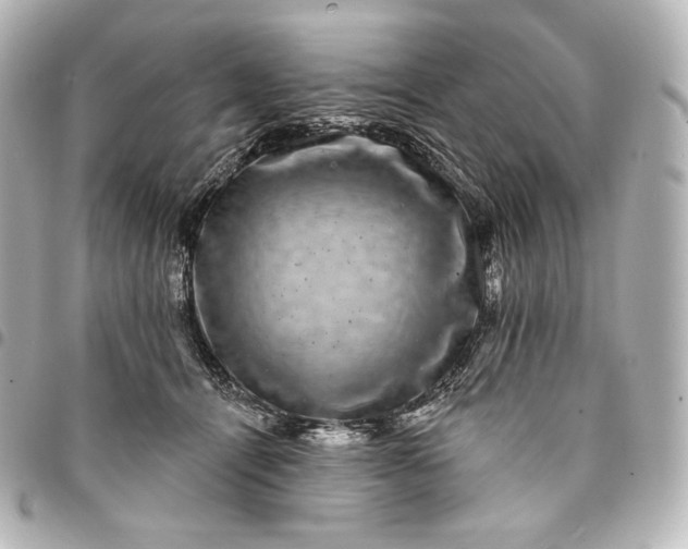 X0000095530464200712281525