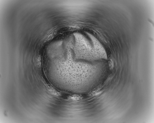 X0000095530466200712281526