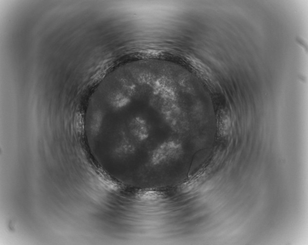 X0000095530467200712281526