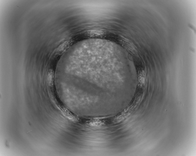 X0000095530468200712281526