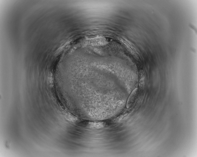 X0000095530469200712281526