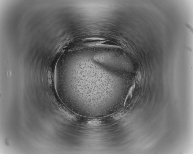 X0000095530470200712281526