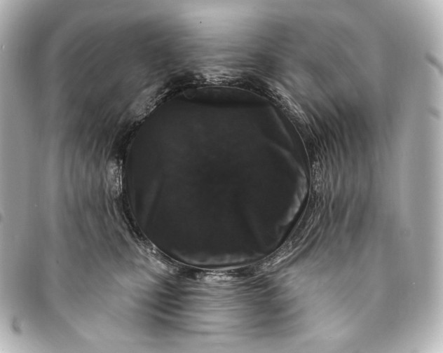 X0000095530471200712281526