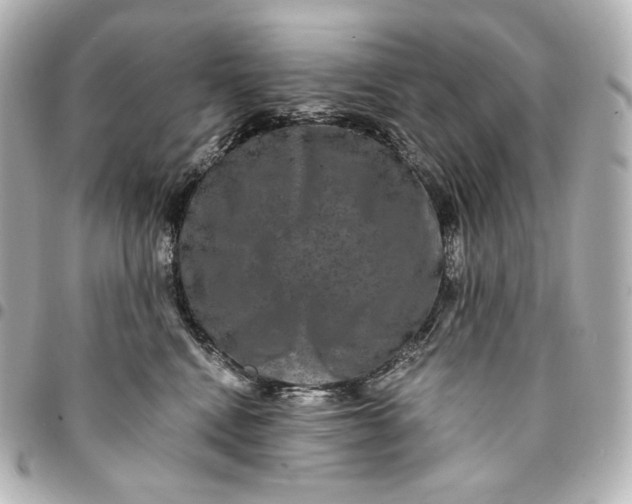 X0000095530472200712281526