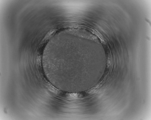 X0000095530473200712281526