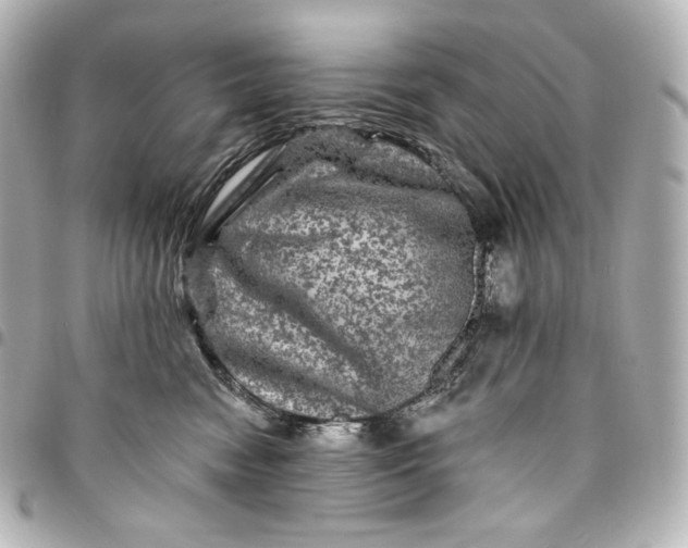 X0000095530474200712281526