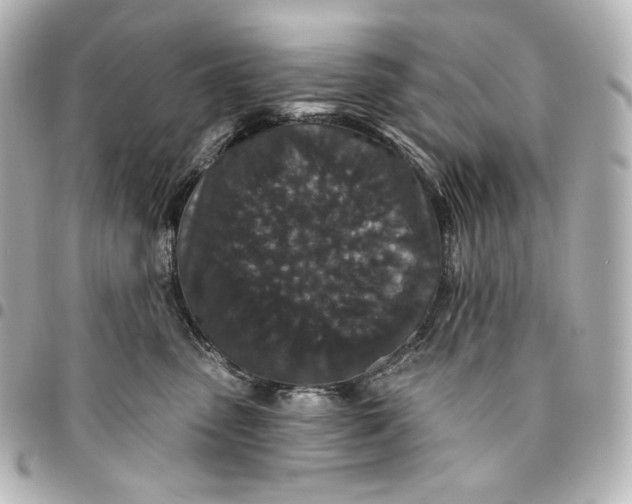 X0000095530475200712281526