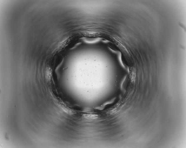 X0000095530476200712281526