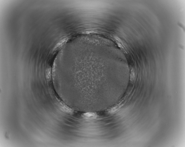 X0000095530477200712281526