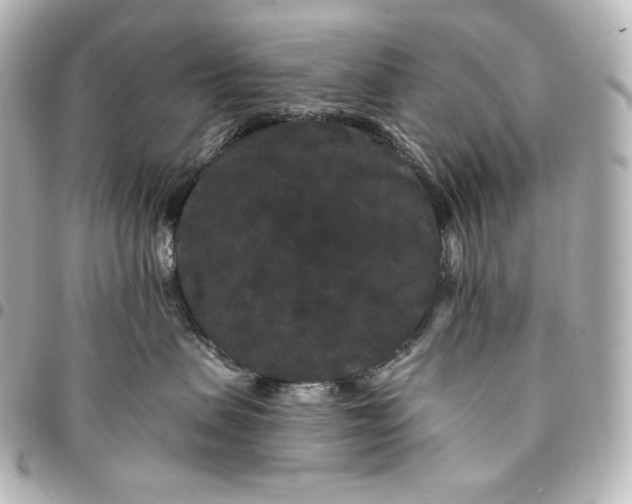 X0000095530479200712281526