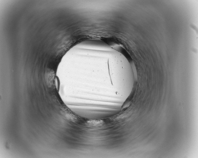 X0000095530480200712281526