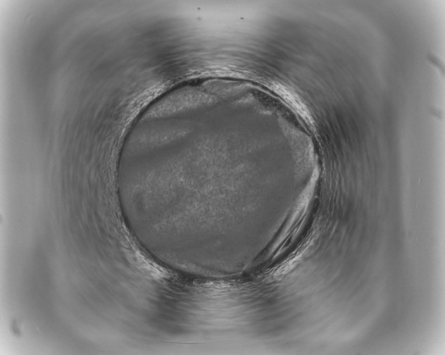 X0000095530481200712281525