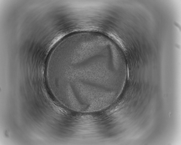 X0000095530483200712281525