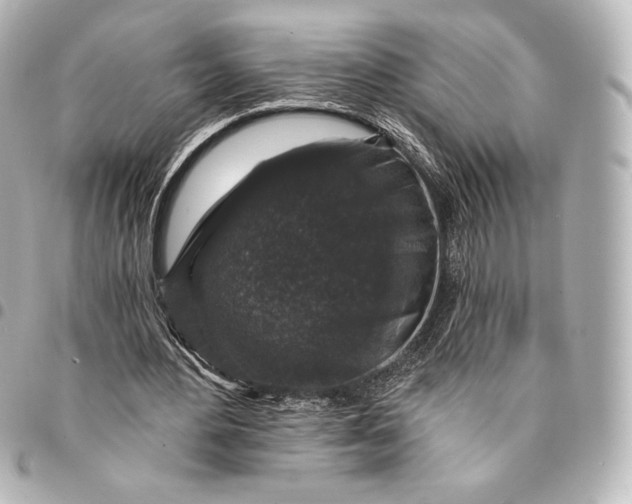 X0000095530484200712281525