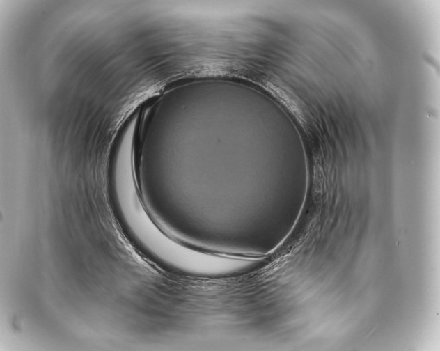 X0000095530485200712281525