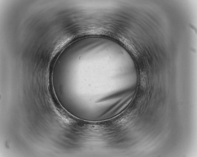 X0000095530486200712281525