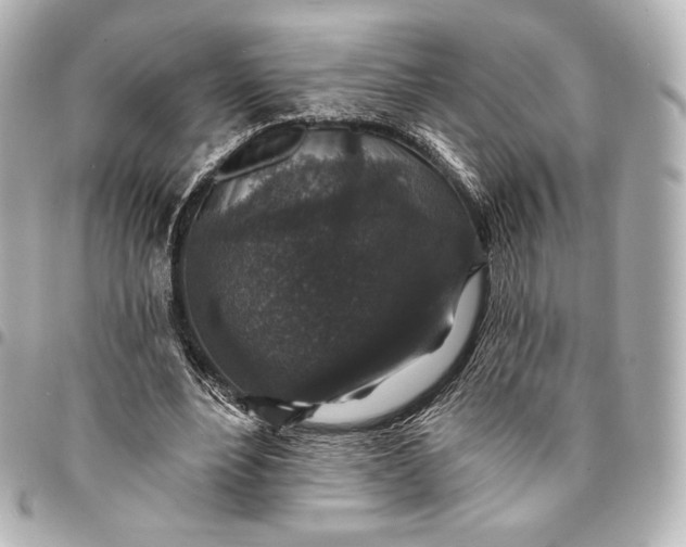 X0000095530488200712281525