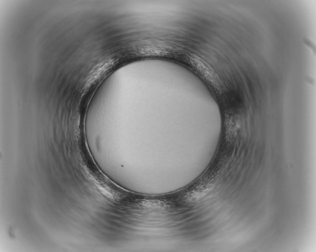 X0000095530490200712281525