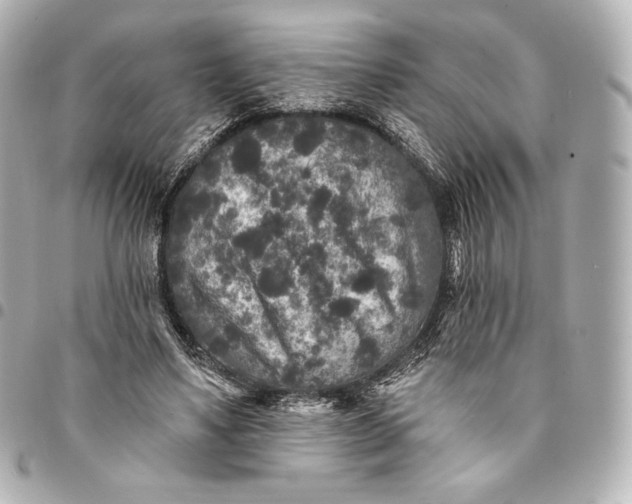 X0000095530491200712281525