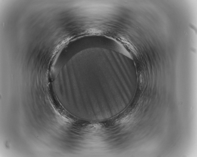 X0000095530492200712281525