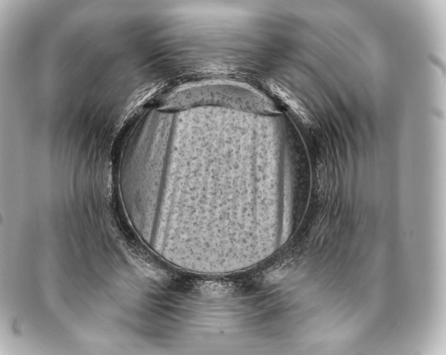 X0000095530494200712281525