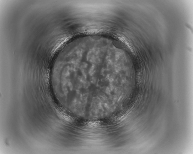 X0000095530495200712281525
