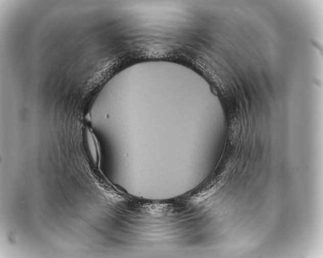 X0000095530497200712281525