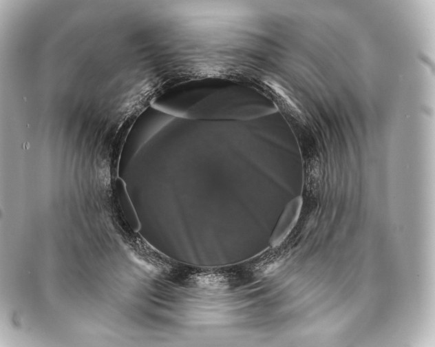 X0000095530500200712281525